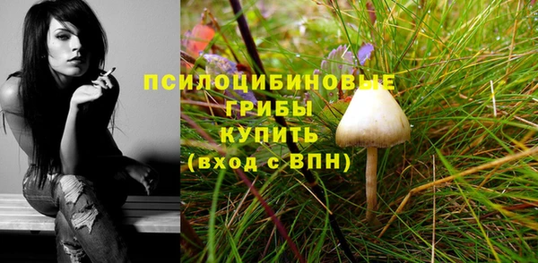 Альфа ПВП Верея
