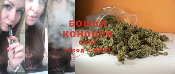 spice Бронницы