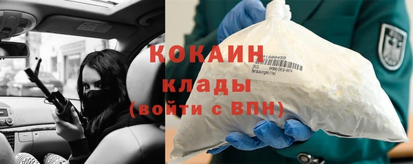 Альфа ПВП Верея