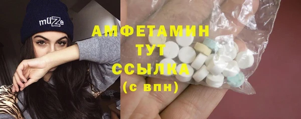 Альфа ПВП Верея
