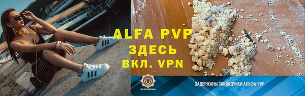 Альфа ПВП Верея